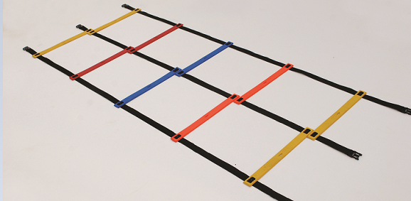 double agility ladder